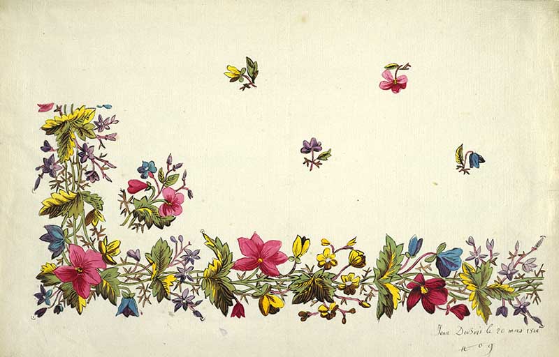 Floral border design, pink, yellow, blue flowers, green and yellow leaves