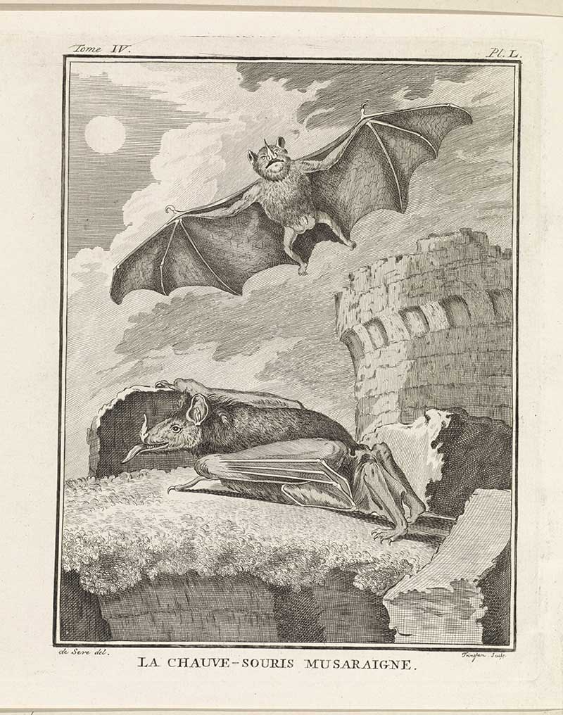 vintage bat and tower