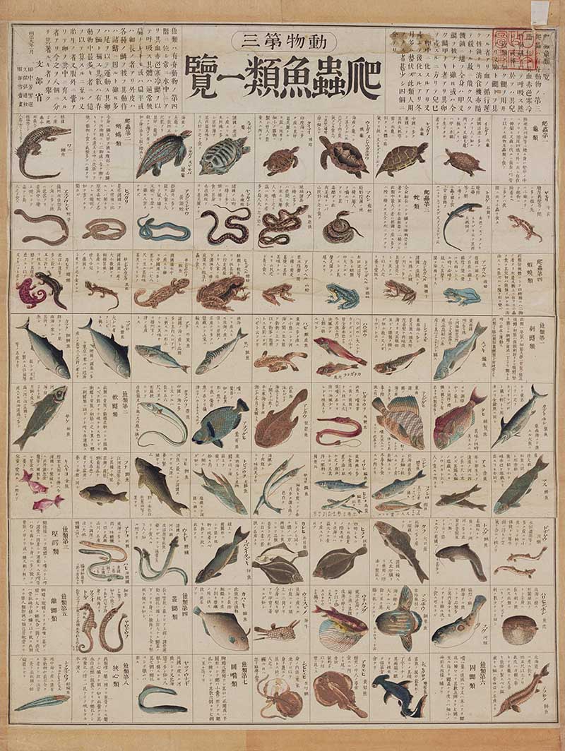 Vintage Japanese educational animal chart featuring reptiles, amphibians and fish